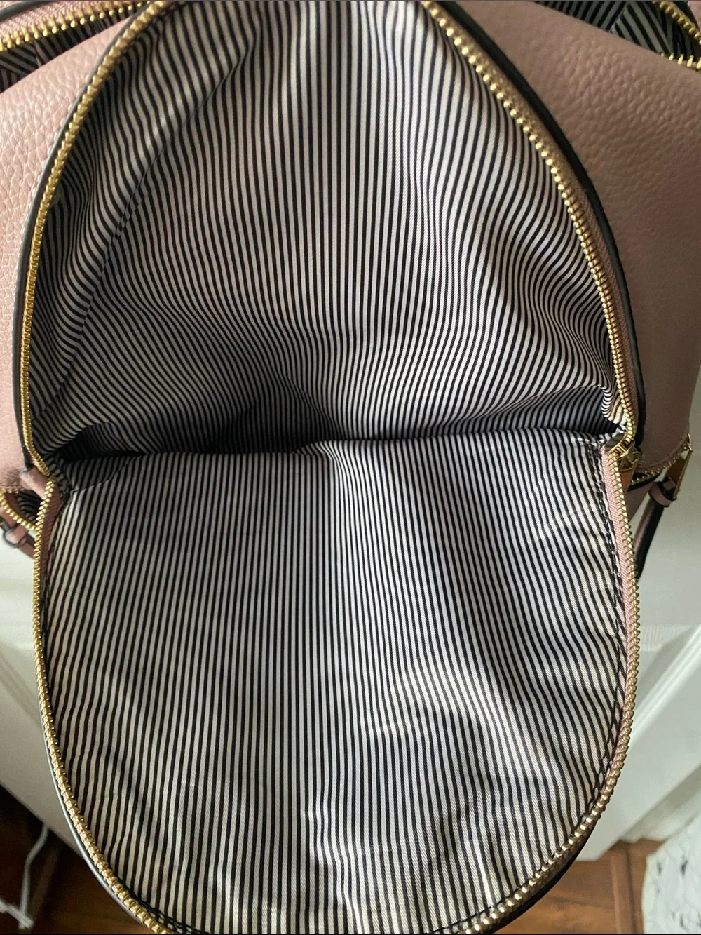 Blush Pink Mini Backpack with Gold Hardware and Striped Lining.